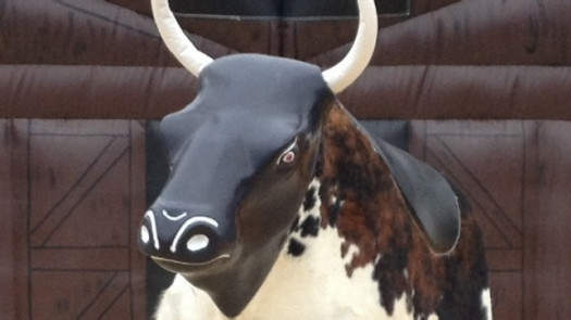 Popular Inflatable Party Rental Service for Sale