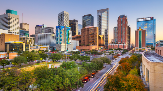 Well-Established, High-Traffic Small Animal Clinic