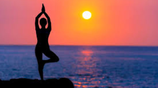 Yoga and Meditation Ebooks Website Business