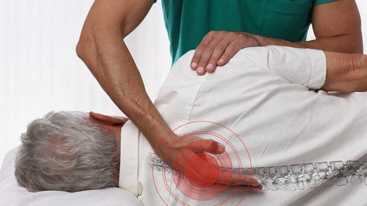 Well-Established Chiropractic and Wellness Center