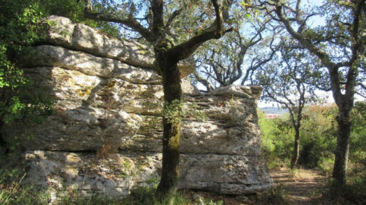 Property: 100Ha of Land in Sintra, Portugal