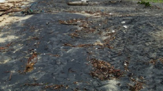 Wanted Investors for Titanium Sand Mining Project