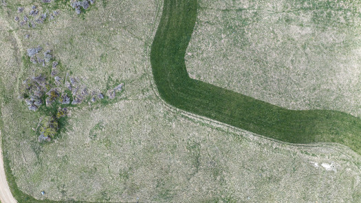 Exclusive Residential Ranch Property