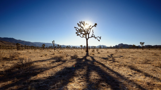 OTCQB Ready Shell Available