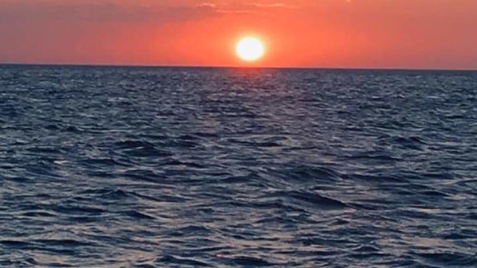 Venture Capital Partner