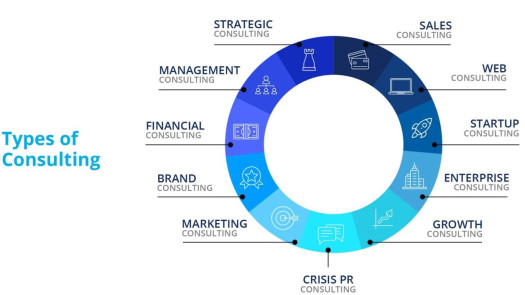 Expert Business Advisor