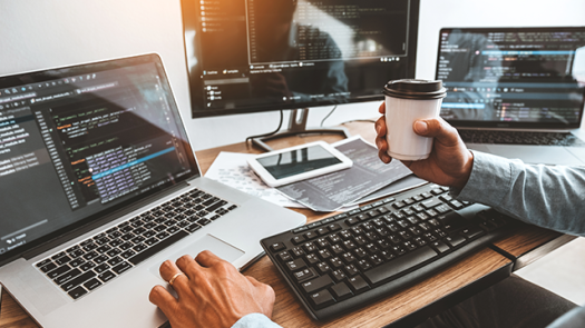 3D CAD Software Developer