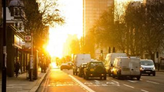 Niche Vehicle Dealer for Sale in New York