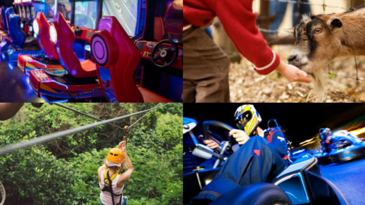 Established Outdoor Adventure & Entertainment Venue