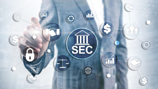 Company Specializing In Us Securities/ Exchange Commission Compliance Services