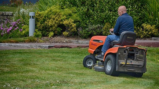 Lawn Maintenance/Landscaping /Tree Trimming