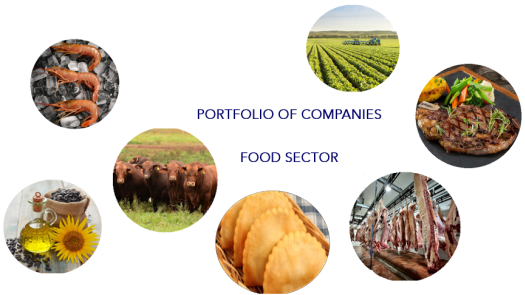 Boutique Investment Platform– Gateway to Argentina