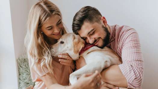 Pet Care & Retail Business – 15+ Years of Success