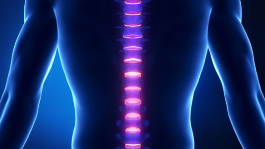 Chiropractic Wellness Center and Med Spa