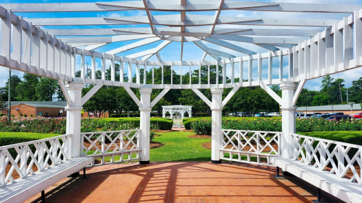 Motivated Seller for Thriving North Carolina CPA