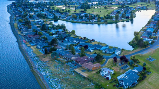 One-of-a-Kind Whatcom County, WA Dental Practice