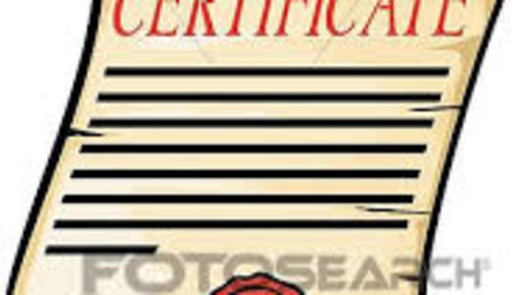 Readymade German UG with 2 Bank Accounts