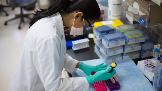 Contract Research & Testing Services