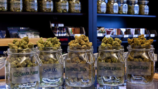 Cannabis Dispensary/Manufacturer for Sale in Massa