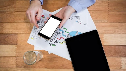 10+ Y/O Enterprise MDM Software Company