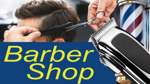 Established Barber Shop - 8 Chairs