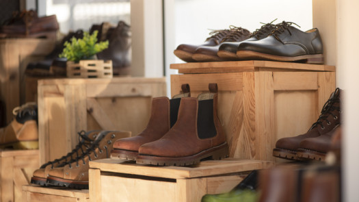 Profitable Multi-Location Footwear Business