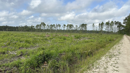 Motorsports Complex, Test Track & Members Club
