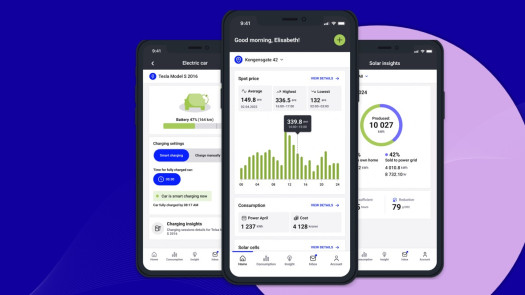 Software For Electricity Providers