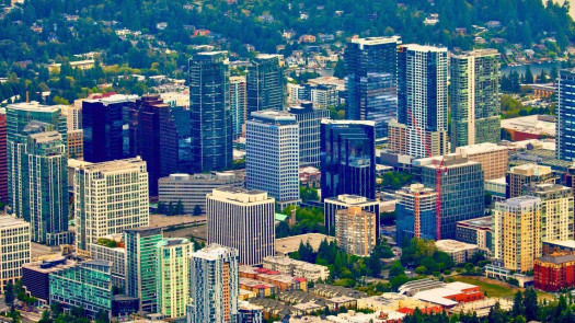 4-Op Bellevue Dental Practice Collecting $1.2MIL