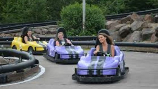 28 Acre Michigan Family Fun Park - Sold