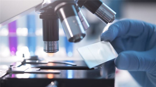 Turnkey Well Built Molecular Lab in MS