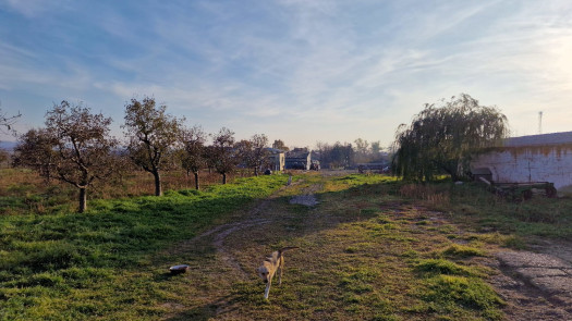 Farm/Agro-Logistics Complex -3.5ha Intravilan