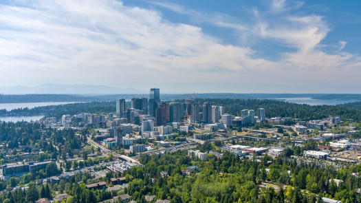 Chiropractic Practice for Sale in Bellevue WA Area