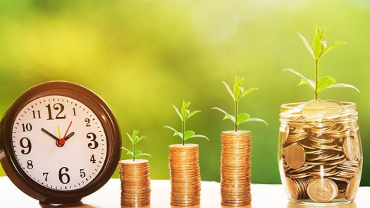 Estonian Company with Bank Account for Sale