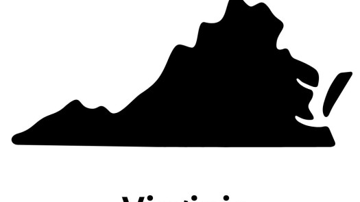 Richmond Virginia Chiropractic Practice For Sale