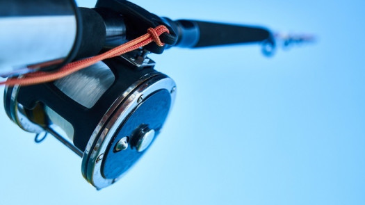 Fishing /Outdoors Apparel and Supply E-commerce St