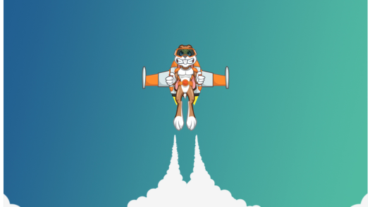 Website Hosting Company USA