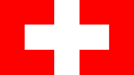 Swiss SRO Licensed Company For Sale