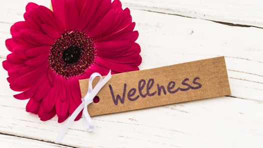Profitable, Established, Home-Based, National Wellness Coaching