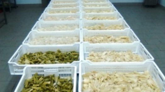 Opportunity London Uk Import Company For Sale