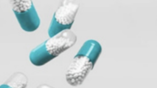 Premier Weight Loss Franchise!