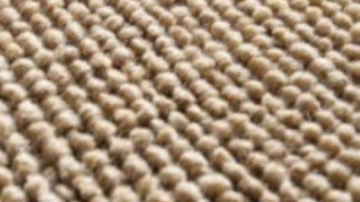 Carpet Cleaning Business