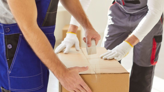 Profitable Reusable Moving Box Rental Company with Strong Reviews & 10,000+
