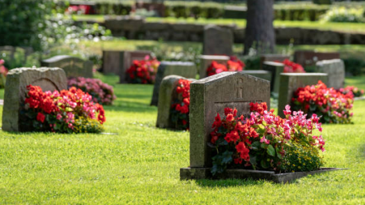 Cemetery Operation with Growth