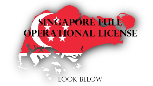 Singapore MPI for Sale + Full Operational Pack