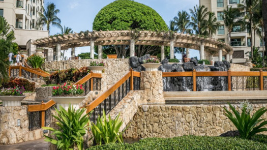 Landscaping, Tree Trimming, Plants and Maintenance