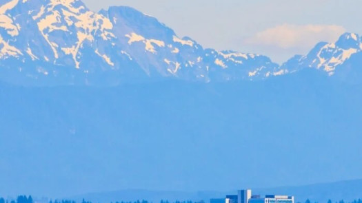 4-Op Everett, WA Dental Practice with Real Estate