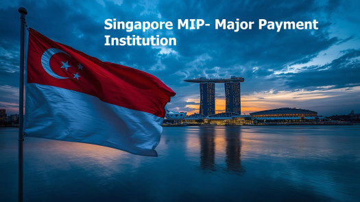 Singapore MIP- Major Payment Institution for sale