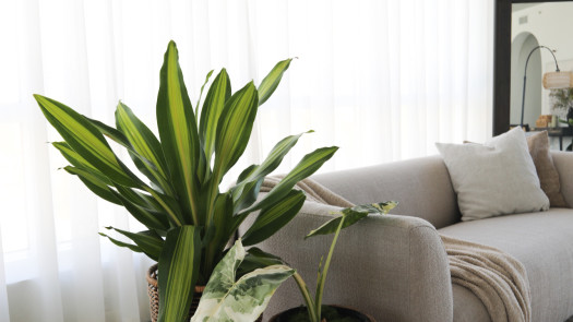 Turnkey Content Studio/Event Space