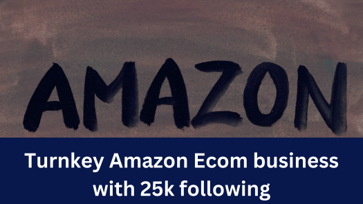 Turnkey Amazon Ecom Business With 25K Following